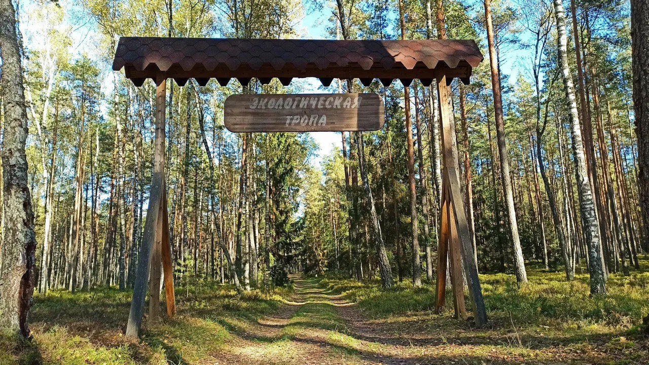 Республиканский ландшафтный заказник «Налибокский»